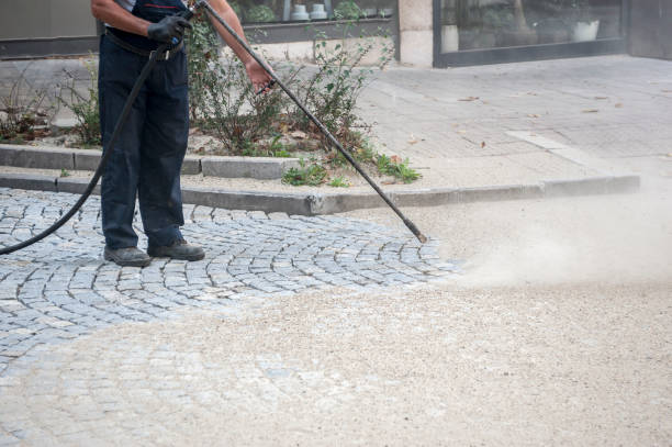 Best Pre-Holiday Cleaning  in Flanders, NJ